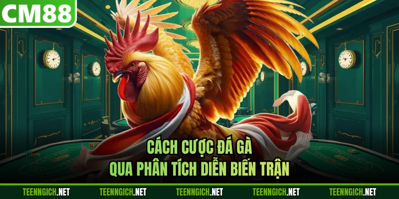 Cách cược đá gà qua phân tích diễn biến trận