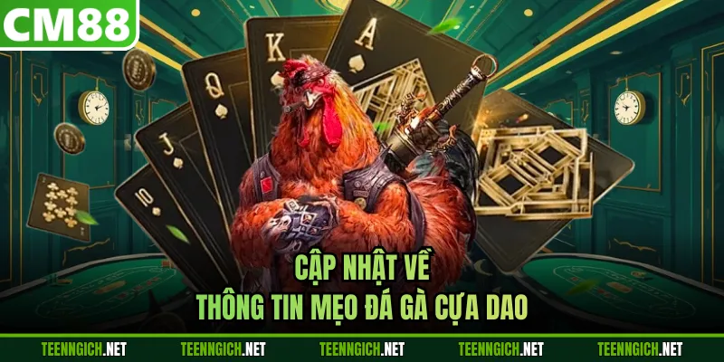 Cập nhật về thông tin mẹo đá gà cựa dao