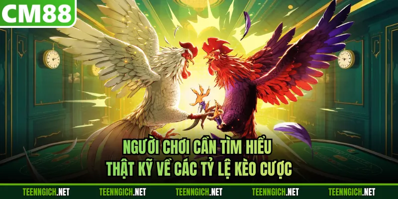 Người chơi cần tìm hiểu thật kỹ về các tỷ lệ kèo cược