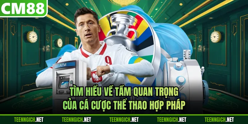 Tìm hiểu về tầm quan trọng của cá cược thể thao hợp pháp